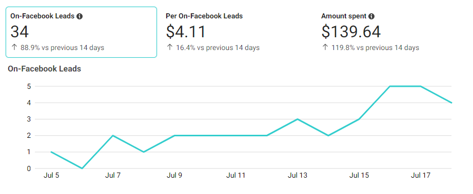 Aesthet House PPC Case Study