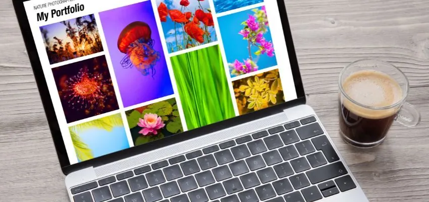 A personal portfolio website showcases the owner's skills and samples of their work.