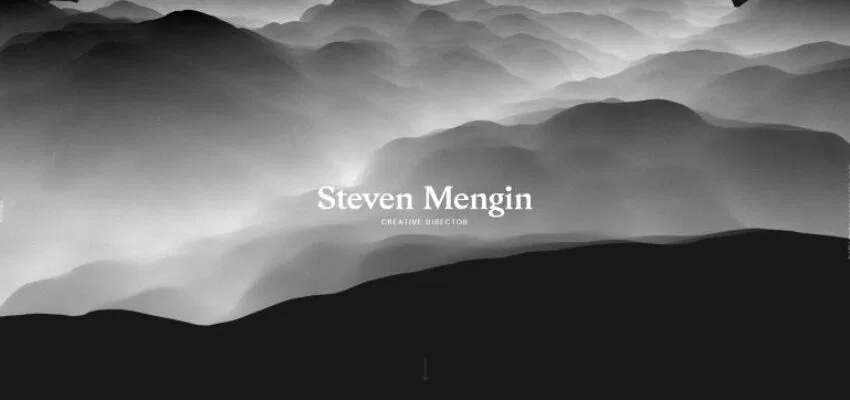 Steven Mengin is a French digital designer based in Toronto. He is known for his exceptional website design, which is visually impressive and stands out with the integration of GSAP animation.