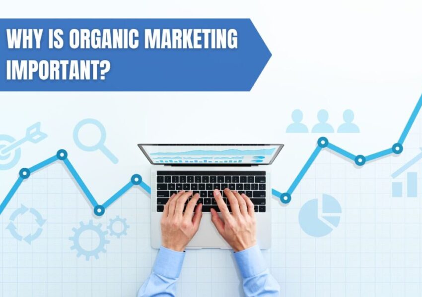 An expert utilizing organic marketing builds brand awareness, recognition, and reputation for businesses.