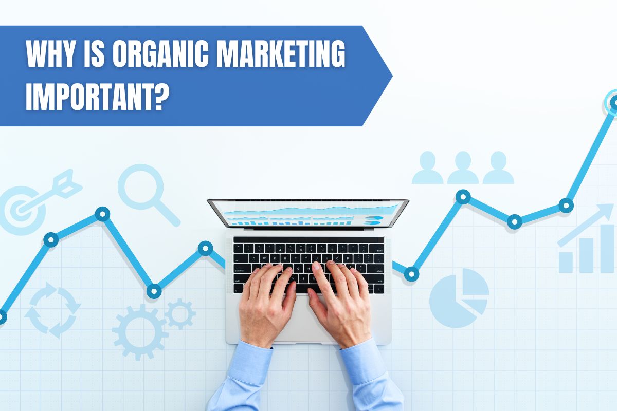 An expert utilizing organic marketing builds brand awareness, recognition, and reputation for businesses.