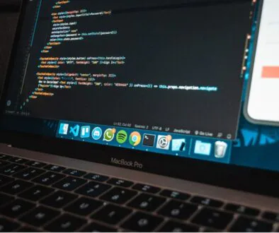 The expert studies the back-end of the web application.