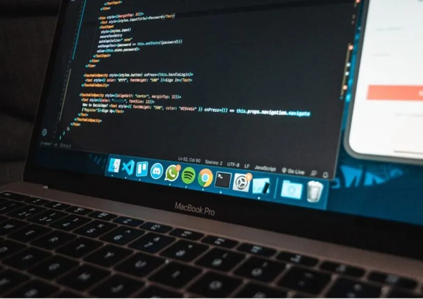 The expert studies the back-end of the web application.