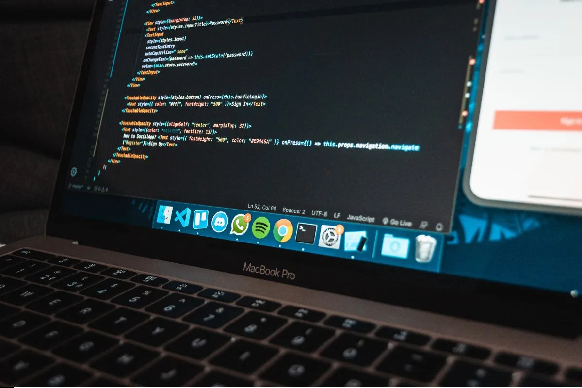 The expert studies the back-end of the web application.