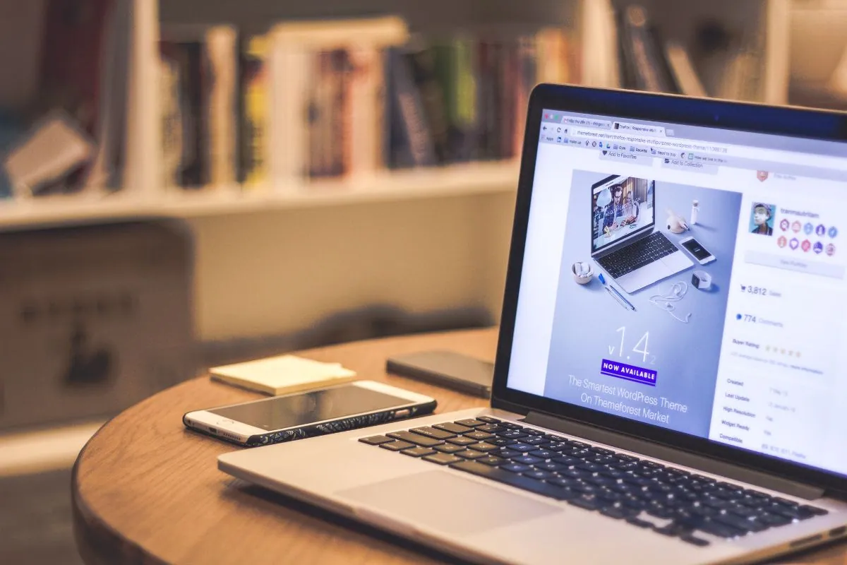 The expert used Webflow in web design.