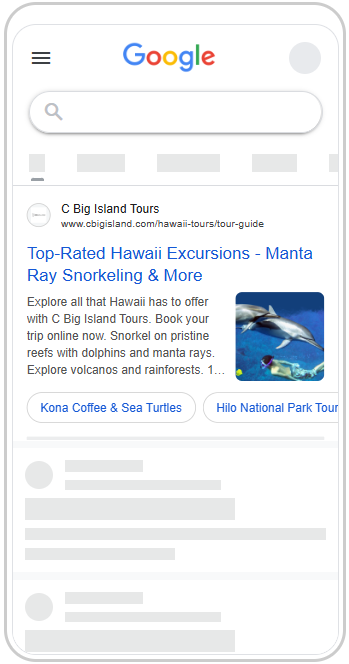C Big Island Tours Google Ads preview.