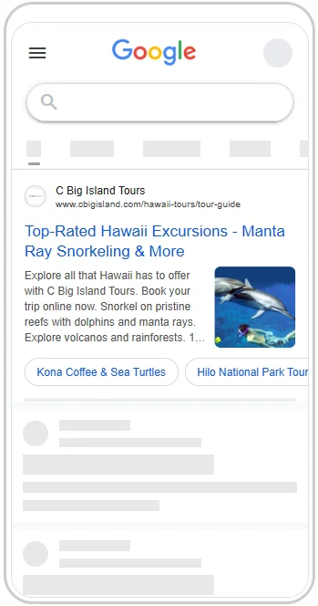 C Big Island Tours Google Ads preview.