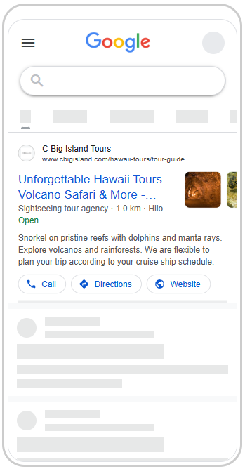 C Big Island Tours Google Ads preview.
